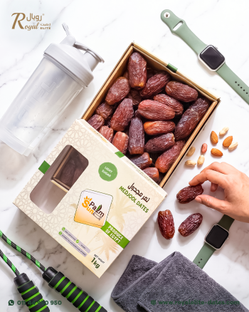 مجدول مصري Light