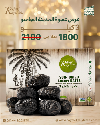 عرض عجوة المدينة الجامبو