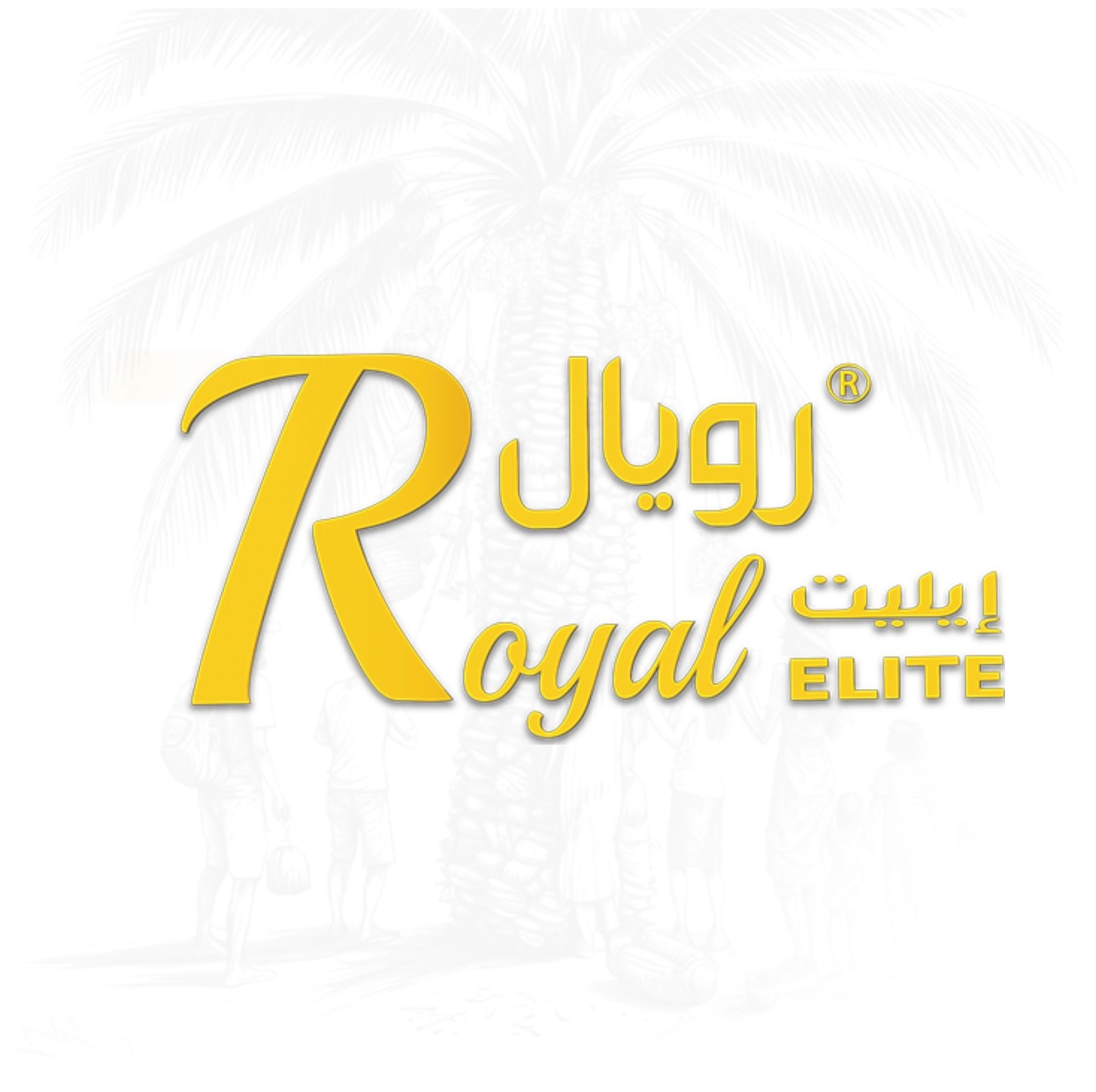 تمور رويال إيليت